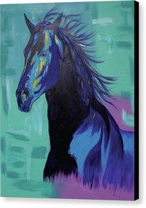 Blue Stallion  - Canvas Print