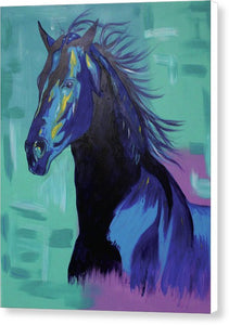 Blue Stallion  - Canvas Print