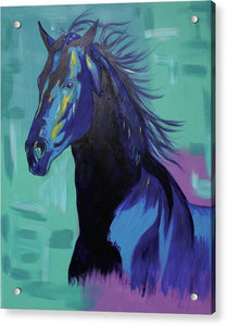 Blue Stallion  - Acrylic Print